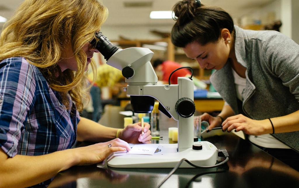 Biology students at a microscope